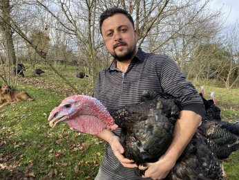 Hindinin kilosu 350 liradan alıcı buluyor