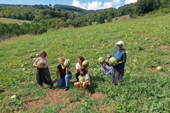 Büyükşehir’den tarıma 236 milyon 210 bin TL destek