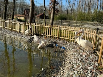 Ormanya, 5,2 milyon ziyaretçiyi ağırladı