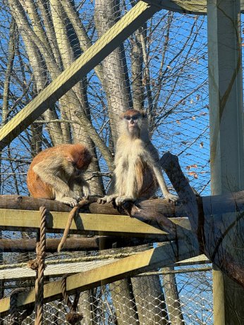 Ormanya, 5,2 milyon ziyaretçiyi ağırladı