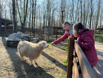 Ormanya, 5,2 milyon ziyaretçiyi ağırladı