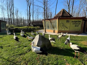 Ormanya, 5,2 milyon ziyaretçiyi ağırladı