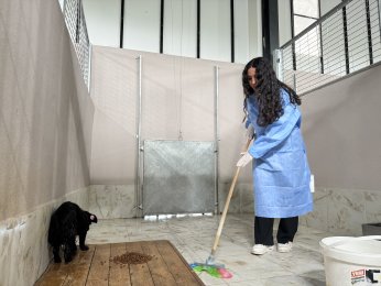 Gönüllü üniversiteliler, can dostlar ile buluştu