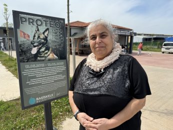 Gönüllü üniversiteliler, can dostlar ile buluştu