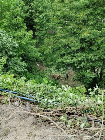 Genç kızı öldürüp kaza süsü vermişti, tutuklandı