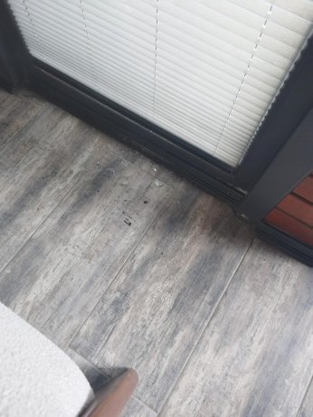 Bungalova tatile gitti, hayatı alt üst oldu