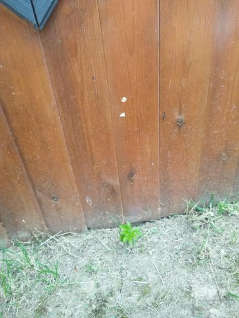 Bungalova tatile gitti, hayatı alt üst oldu