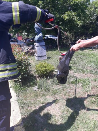 Kuaförde yılan paniği