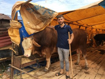 Kocaeli’de kurbanlık  hayvanların yarısı satıldı