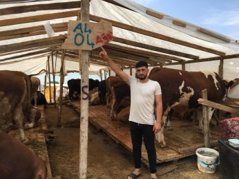 Kocaeli’de kurbanlık  hayvanların yarısı satıldı