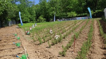 Özel çocuklar doğayla iç içe