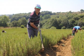 Çocukları ve torunlarına toprak sevgisi aşıladı