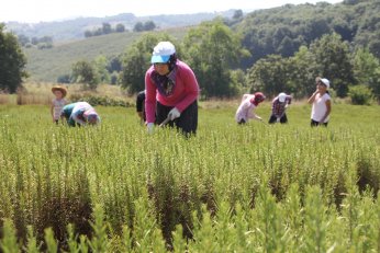 Çocukları ve torunlarına toprak sevgisi aşıladı