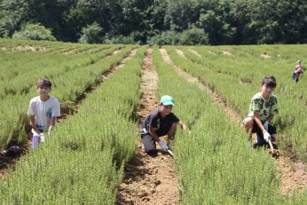 Çocukları ve torunlarına toprak sevgisi aşıladı
