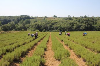 Çocukları ve torunlarına toprak sevgisi aşıladı