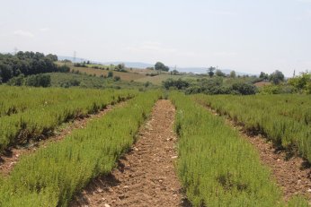 Çocukları ve torunlarına toprak sevgisi aşıladı