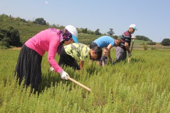 Çocukları ve torunlarına toprak sevgisi aşıladı