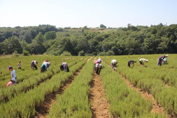 Çocukları ve torunlarına toprak sevgisi aşıladı