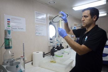 Deniz ekosistemi hayat buluyor