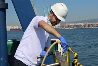 Deniz ekosistemi hayat buluyor