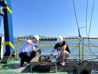 Deniz ekosistemi hayat buluyor