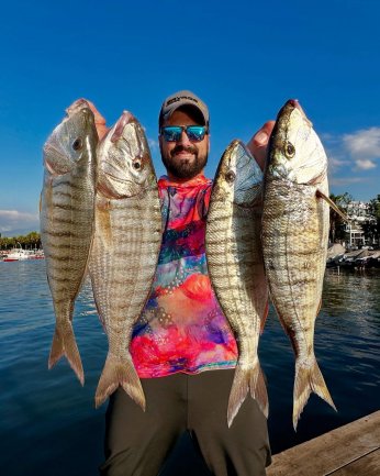 Temizlenen Körfez’de  dev mırmır sevinci   