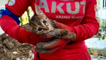 168 saatlik nefes kesen operasyon