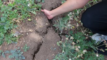 Derenin kuruduğunu ilk kez gördüler