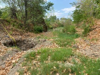 Derenin kuruduğunu ilk kez gördüler