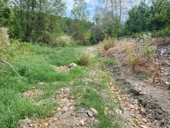 Derenin kuruduğunu ilk kez gördüler