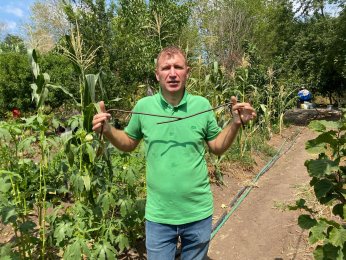 Derenin kuruduğunu ilk kez gördüler