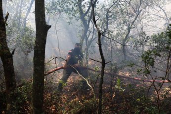 Ekipler, Karamürsel yangını için seferber oldu