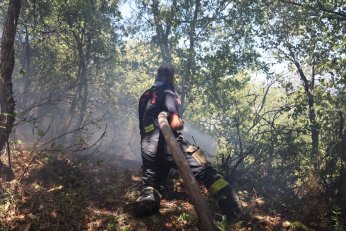Ekipler, Karamürsel yangını için seferber oldu