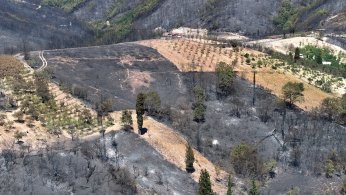 Yangından zarar gören alanlar havadan görüntülendi