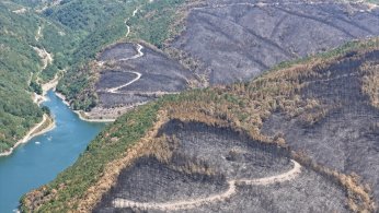 Yangın sonrası yürek burkan manzara