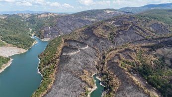 Yangın sonrası yürek burkan manzara