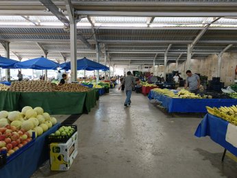 Pazarda limon fiyatları düşüşte