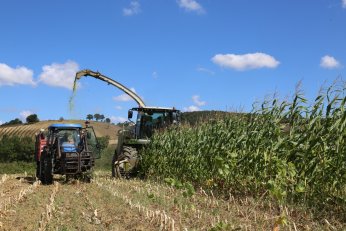 Yatırımlarla yıllık hasat kat kat arttı