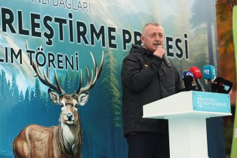 Kızıl geyikler doğayla buluştu