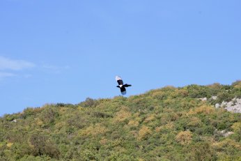 Ballıkayalar Kanyonu’nda sonbahar manzarası