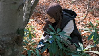 Mantarların gizemli dünyası keşfedildi