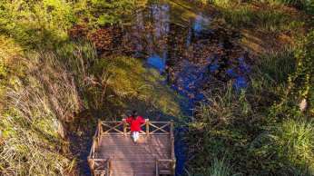 Ormanya’da huzur veren atmosfer