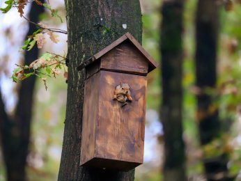 Ormanya’da huzur veren atmosfer