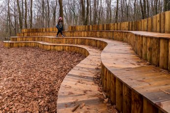 Ormanya’da huzur veren atmosfer