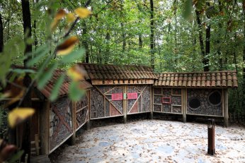 Ormanya’da huzur veren atmosfer