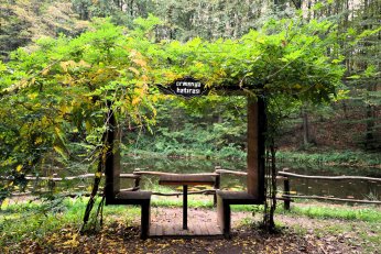 Ormanya’da huzur veren atmosfer