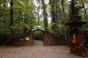 Ormanya’da huzur veren atmosfer