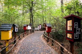 Ormanya’da huzur veren atmosfer