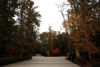 Ormanya’da huzur veren atmosfer