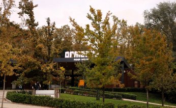 Ormanya’da huzur veren atmosfer